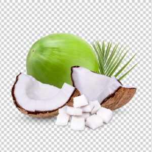 Fruit Shake - Coconut