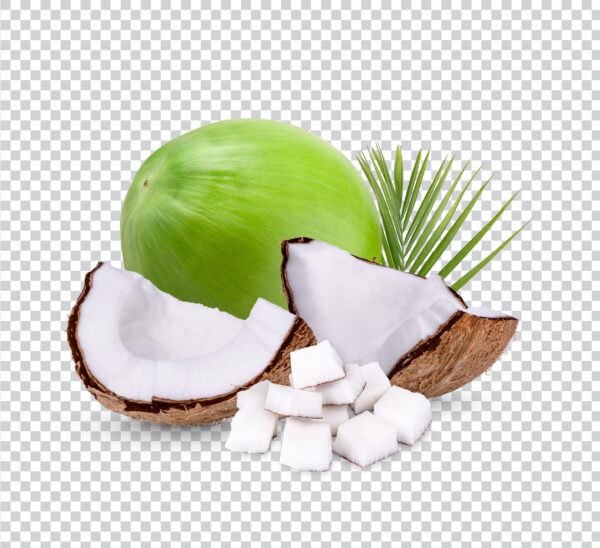 Fruit Shake - Coconut