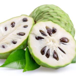 Fruit Shake - Soursop