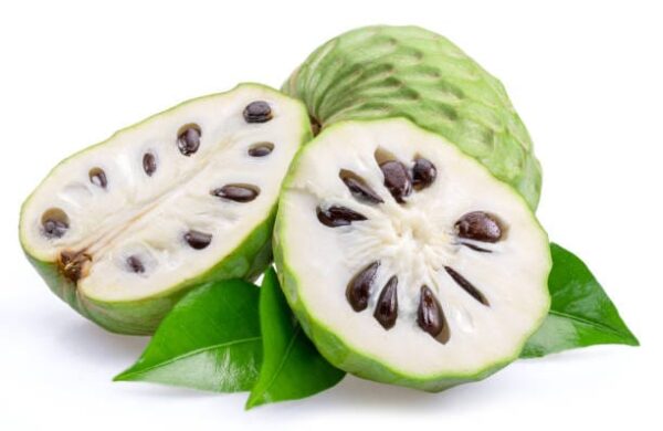 Fruit Shake - Soursop